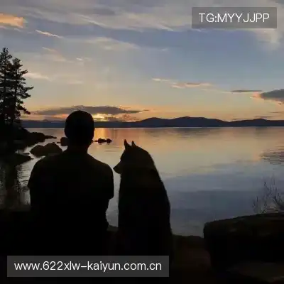 柳琴果